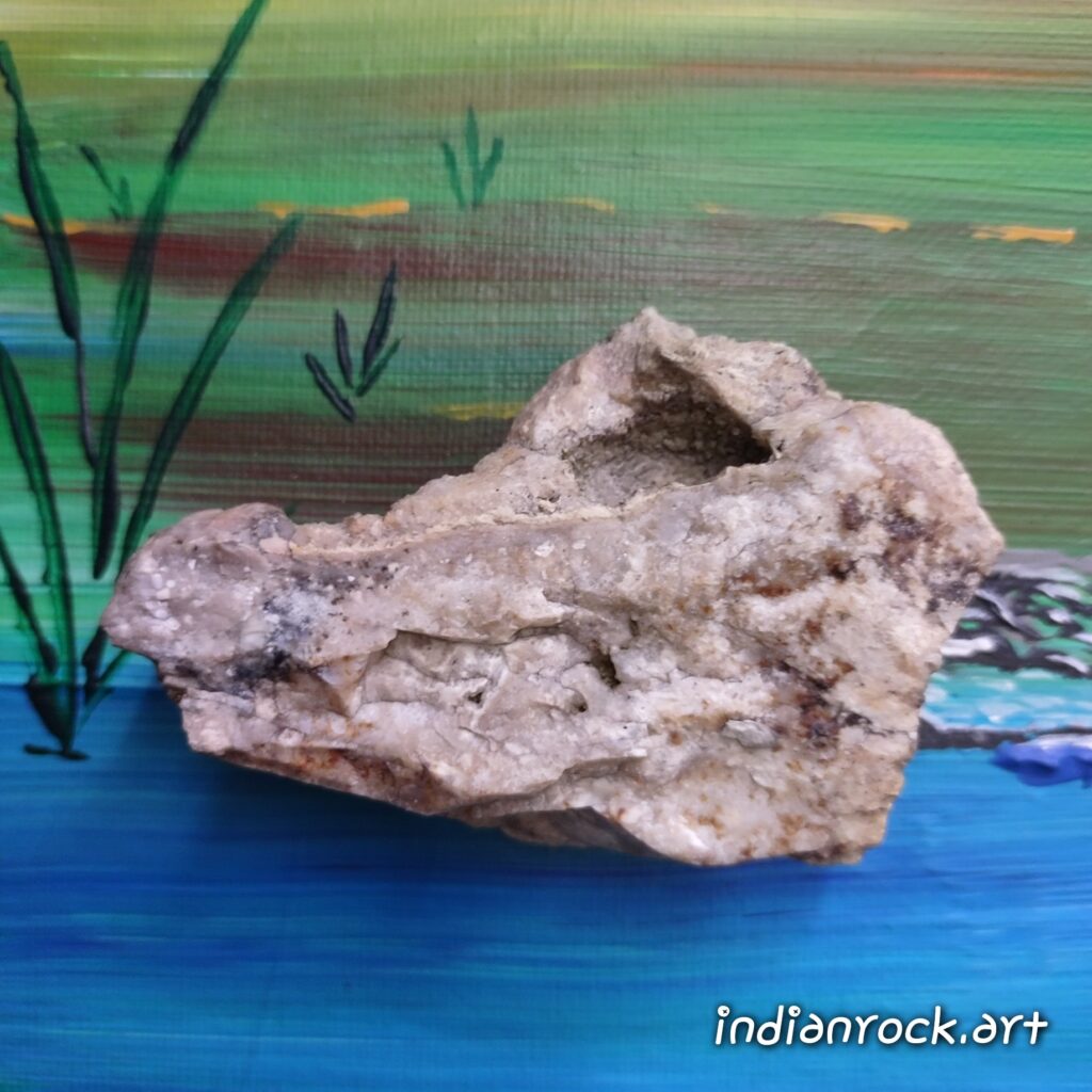 IndianRock.art Alligator-head Stone – Rare, Medium Grade, IndianRock.art authenticated random surface stone.