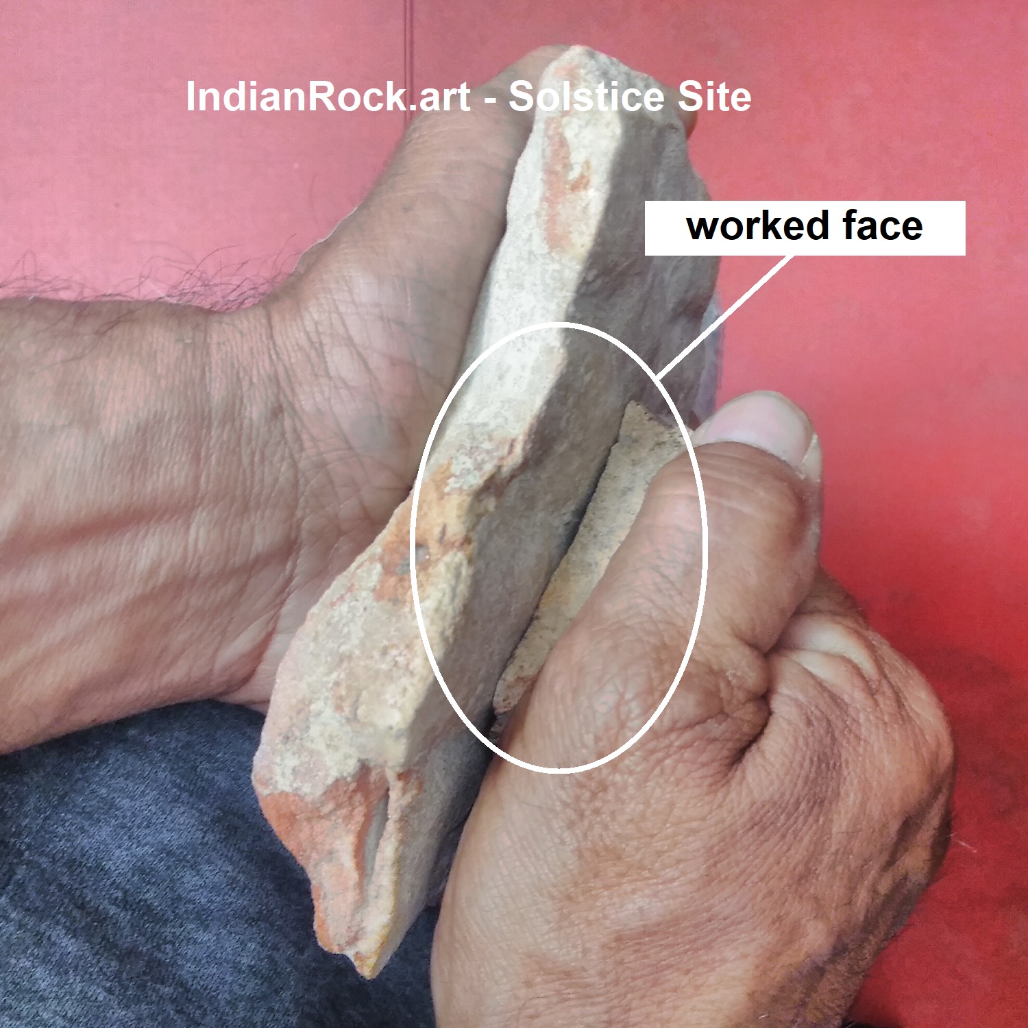 Image gallery image