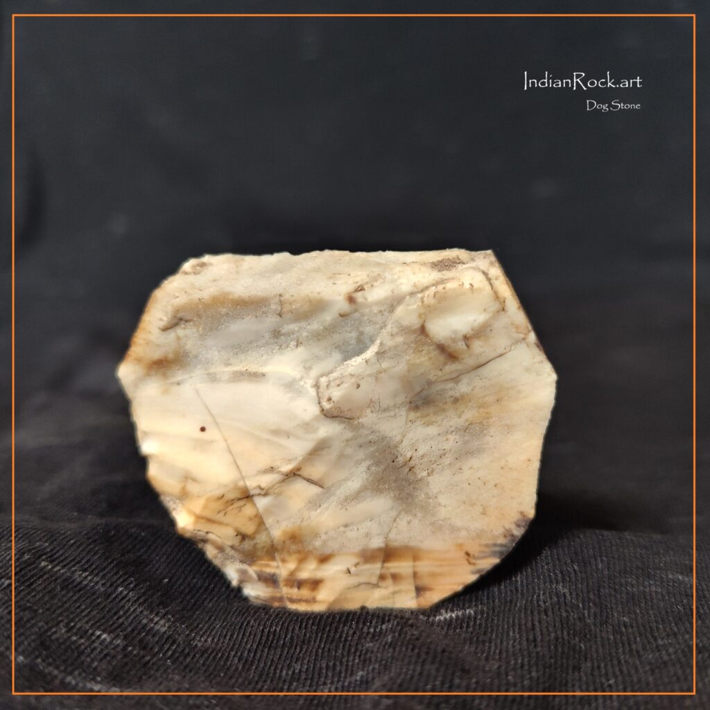 IndianRock.art Dog Stone - IndianRock.art authenticated, rss, cni, rare, high grade