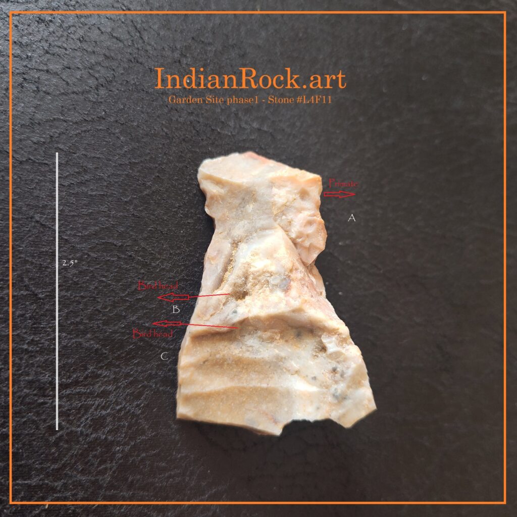 IndianRock.art #L4F11 - IndianRock.art authenticated, Garden Site phase1, cni, ultra-rare, flawless, premium grade. Arguably, a primate in a seated position facing right and two bird heads facing left: one occupying positive space and the other occupying negative space. 