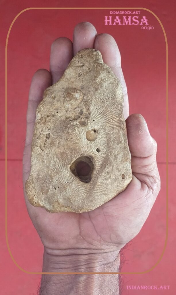 IndianRock.art Hamsa Stone - rss, cni & fossilization, rare, flawless, premium grade, Starstone, peep stone, symbolic, revealing, Hamsa supernatural, #04