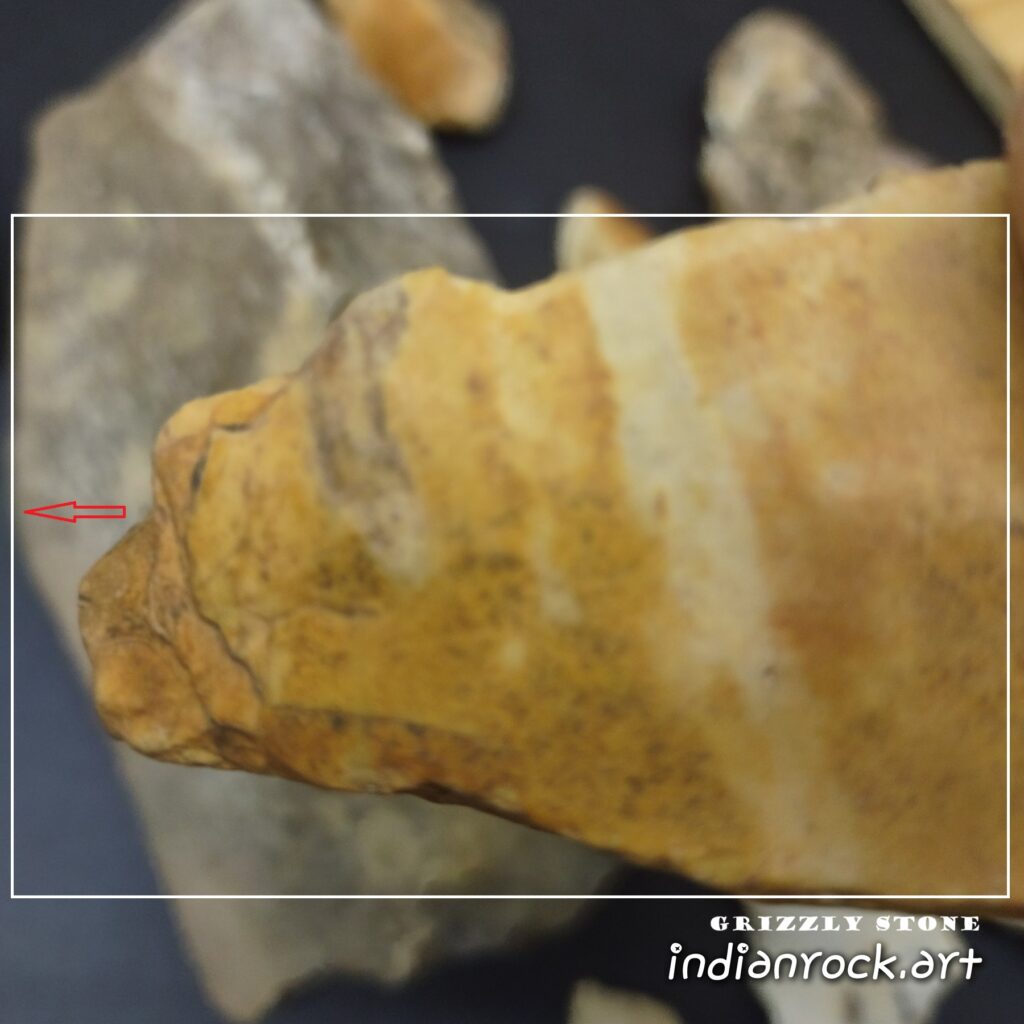 IndianRock.art Grizzly Stone - random surface stone, composition not identified, ultra rare, medium grade