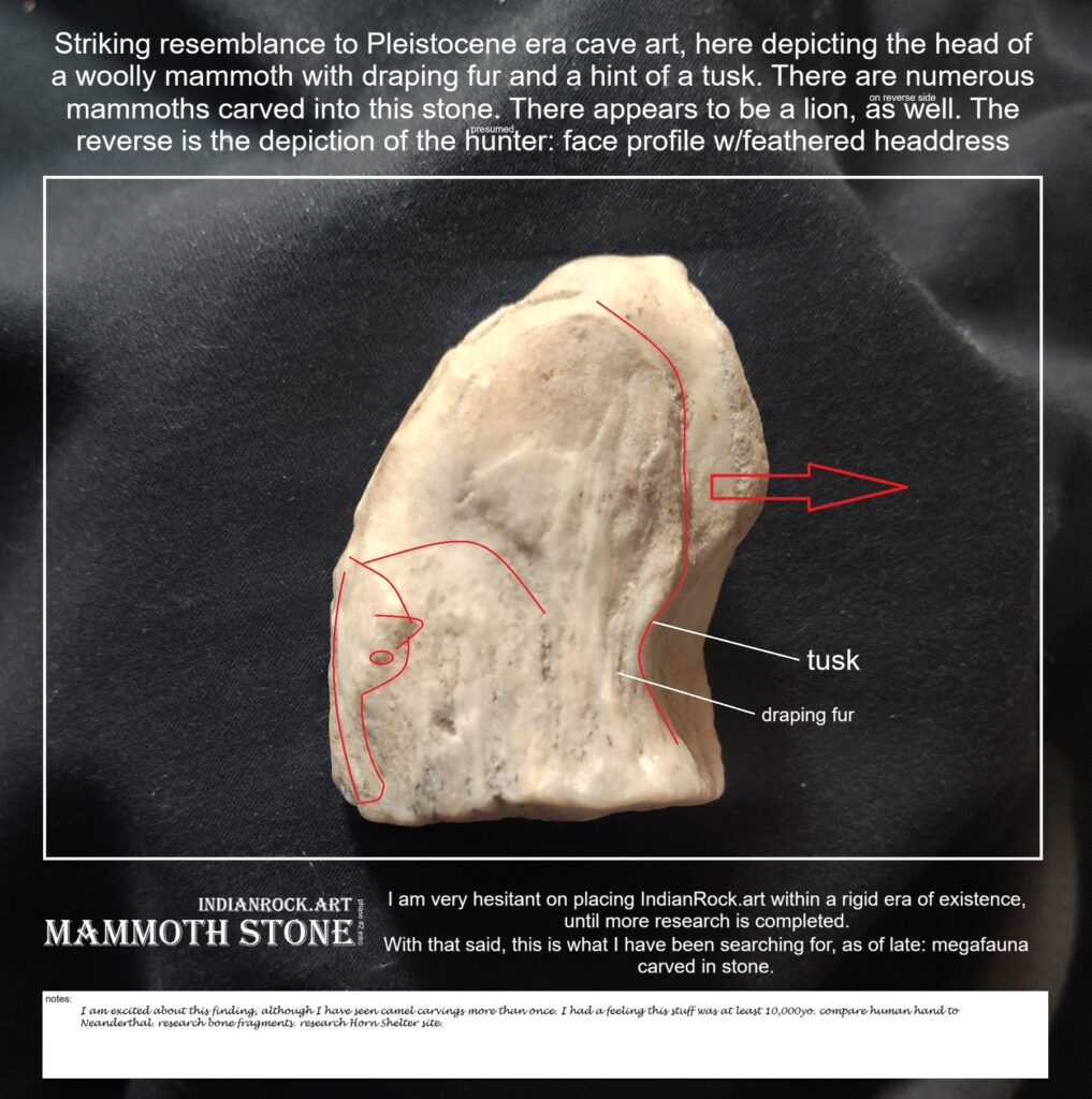 IndianRock.art Mammoth Stone - IndianRock.art authenticated, rss, cni, ultra rare, flawless, ultra-premium grade, multiple images of Pleistocene megafauna and human profile w/feathered headdress