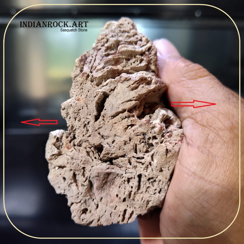  IndianRock.art Sasquatch Stone - IndianRock.art authenticated, rss, cni, ultra-rare, medium grade