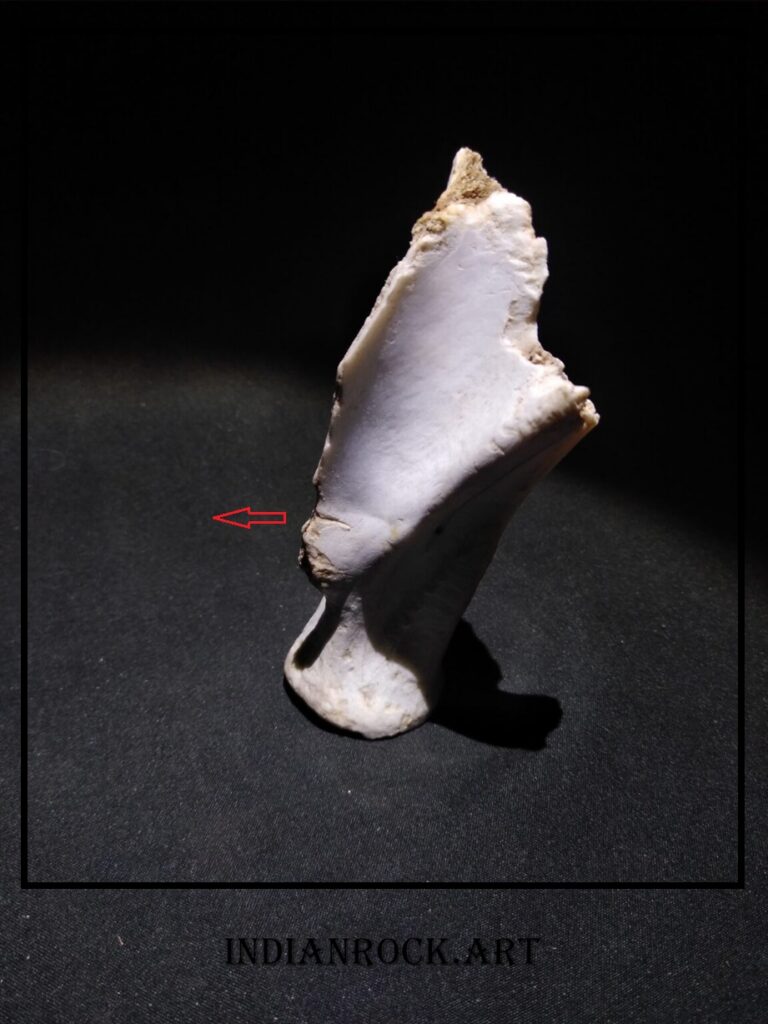IndianRock.art Bone Spoon - theorized as being an early kitchen utensil, possibly a spoon, extremely rare, priceless object, depiction of bust of Egyptian God