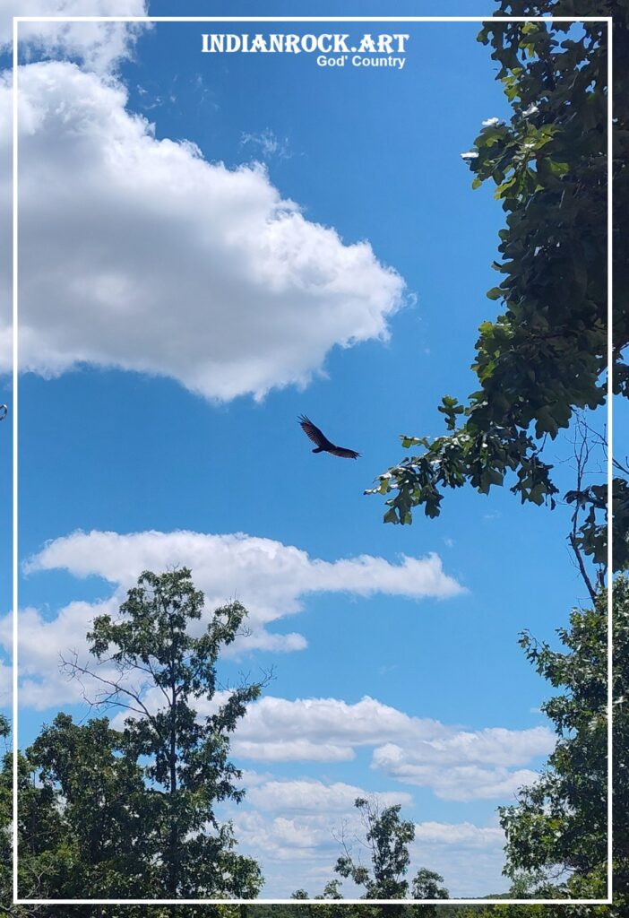 IndianRock.art God' Country - soaring vulture