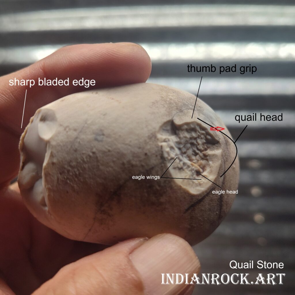 IndianRock.art - Quail Stone